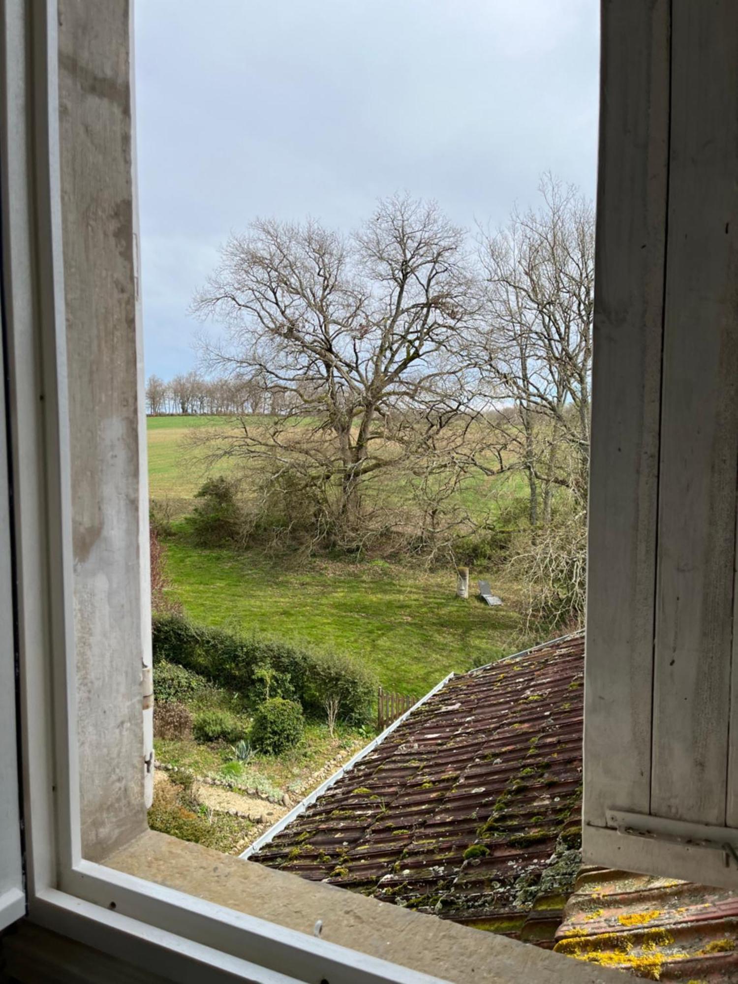 Chateau De Lahitte Bed & Breakfast Vergoignan ภายนอก รูปภาพ