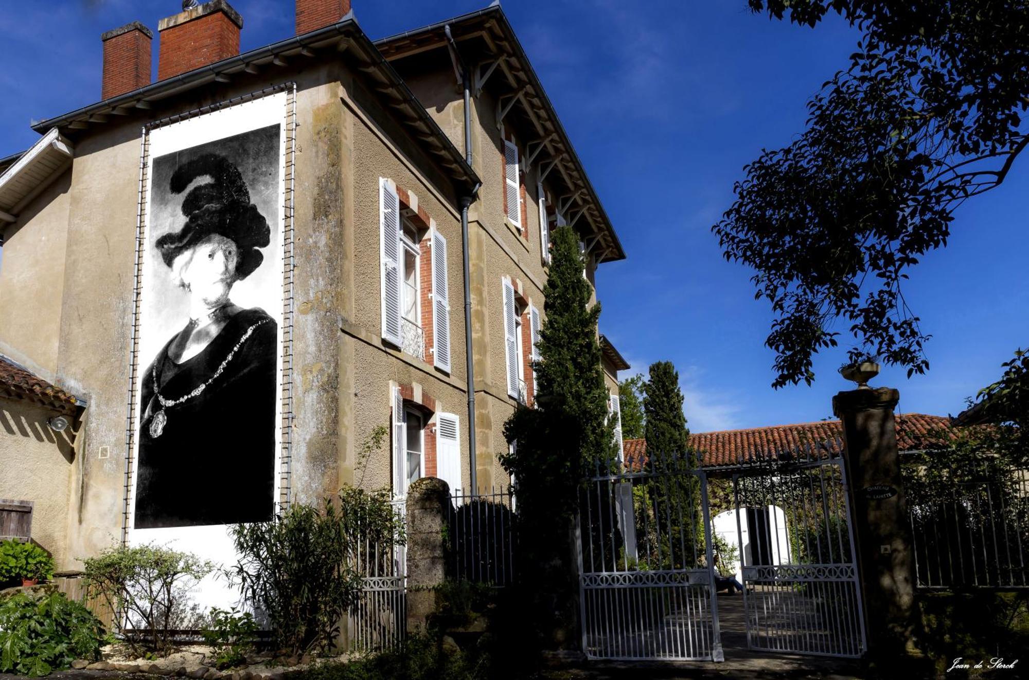 Chateau De Lahitte Bed & Breakfast Vergoignan ภายนอก รูปภาพ