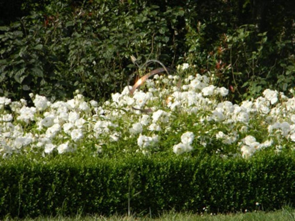 Chateau De Lahitte Bed & Breakfast Vergoignan ภายนอก รูปภาพ